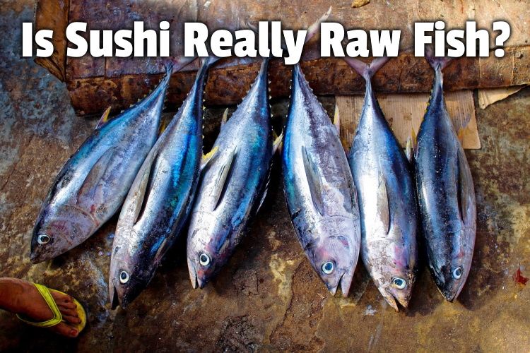 sushi really raw fish lg