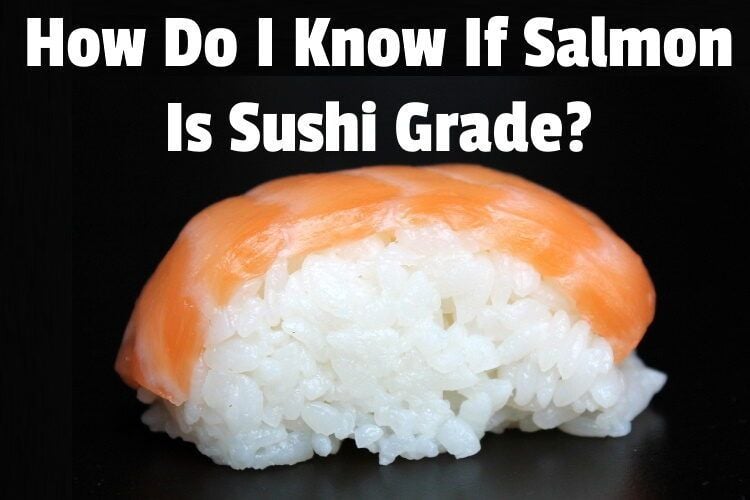 know salmon sushi grade lg