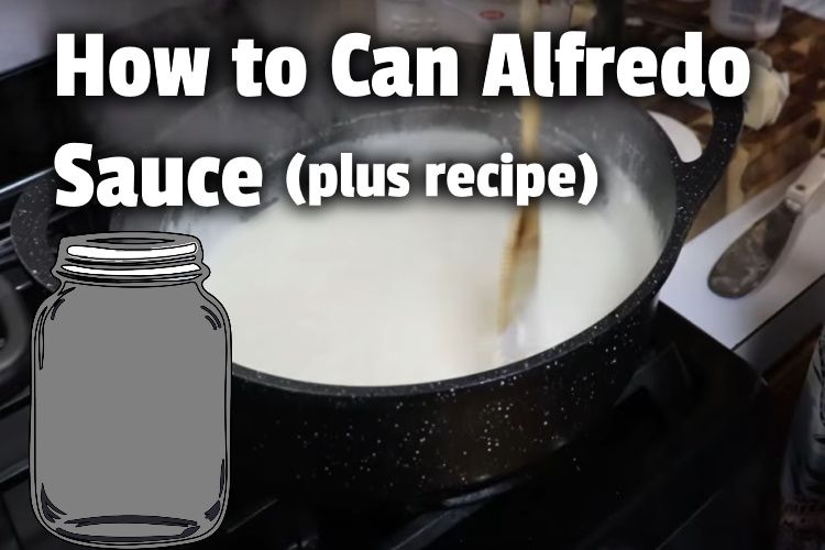 Easy Homemade Alfredo Sauce Recipe (& Canning Instructions)