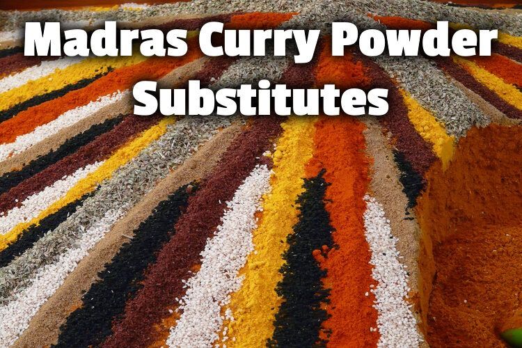 madras curry sub lg