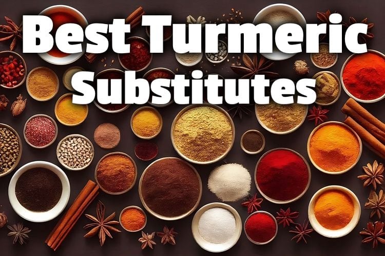 turmeric substitutes lg
