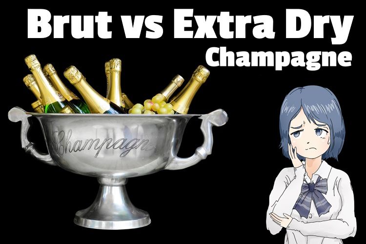brut vs extra dry champagne lg